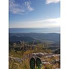 Salewa Rapace GTX, Botas Altas de Senderismo para Mujer