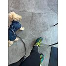 Salewa Rapace GTX, Botas Altas de Senderismo para Mujer
