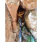 Mariposa Diamante Negro Camalot C4 2