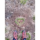 Salewa MTN Trainer 2 Mid GTX, Botas Altas De Senderismo Mujer