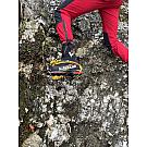 Botas de invierno Kayland K4 GTX