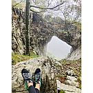 Botas de montaña Salewa Wildfire NXT Knit mujer
