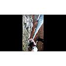 Cuerda de escalada sencilla Edelrid Boa 9.8 60m