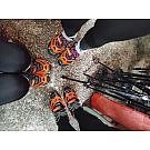 Crampones Veriga Lesce Mount Track
