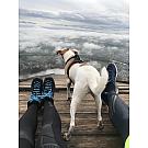Salewa Crow GTX, Botas Altas de Senderismo para Mujer
